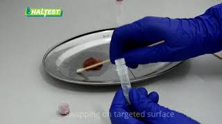 HALTEST Dipstick Test – Surface Swab Instruction Video HALTEST Dipstick Test – Surface Swab Instruction Video