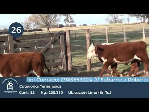 Lote M Y H - Lima Bs As