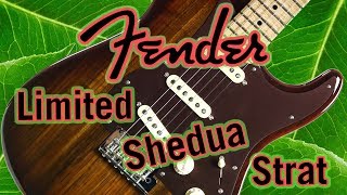 Video thumbnail for Fender 2017 Limited Edition Shedua Top Stratocaster Review & Demo by Alamo Music Center