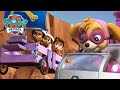 A Patrulha Pata Salva Os Piratas A Brincar Ao Faz De Conta E Mais PAW Patrol Episódio Português