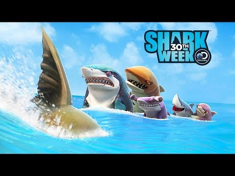 New Map Contest The Bay - Hungry Shark World Gameplay