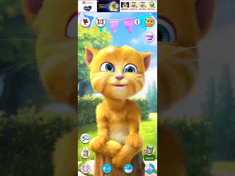 Ciao sono un gatto rosso divertente e carino