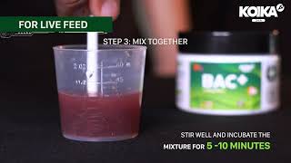 Download lagu KOIKA | Tutorial Bac  mp3