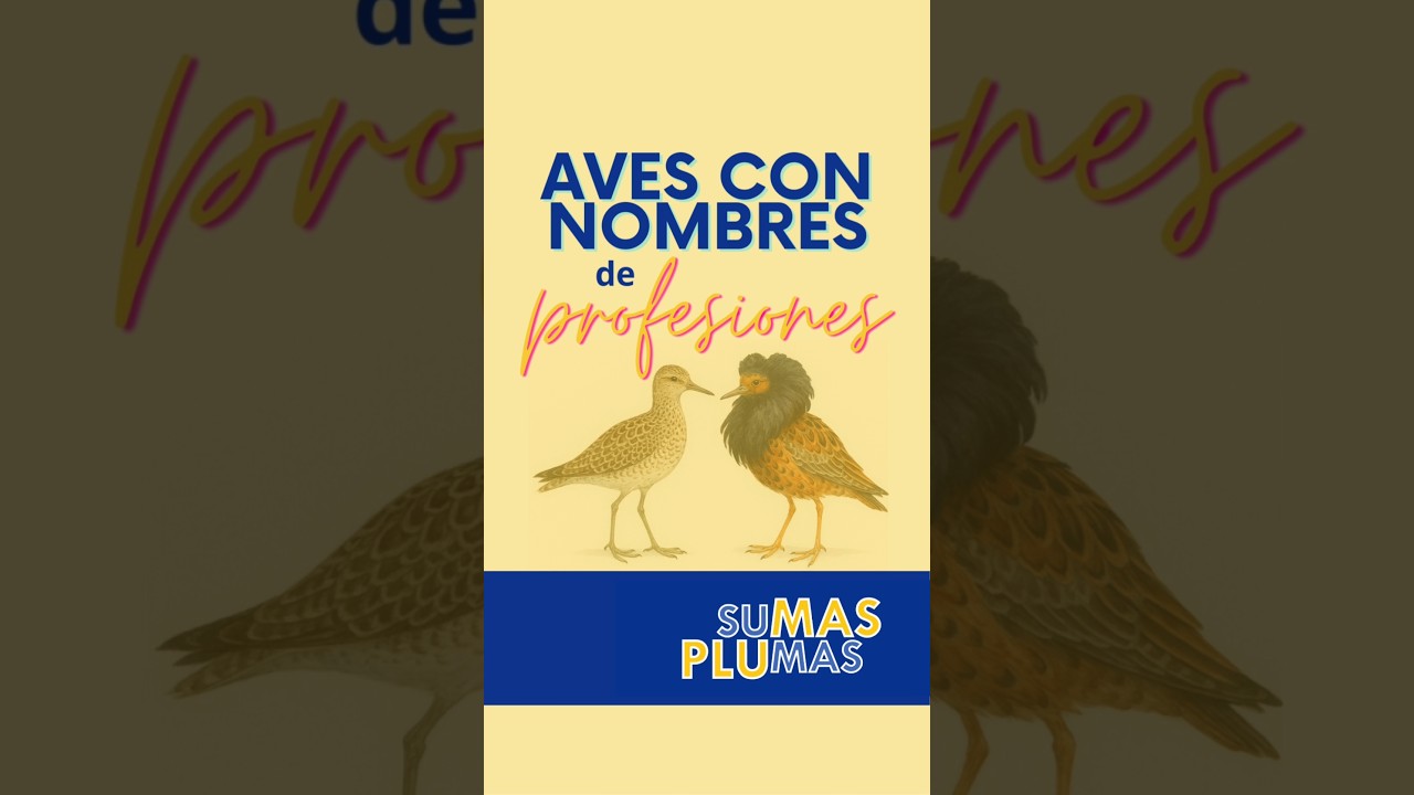 Nombres de profesiones