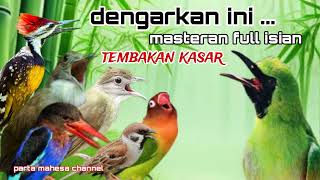 Download lagu Masteran Cucak ijo Full Isian Tembakan Kasar - Materi Mewah Mudah Masuk mp3