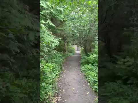 walk to the restroom by D56