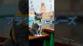 フラワークルーズに乗るそらまる#cat #遊園地 #amusementpark