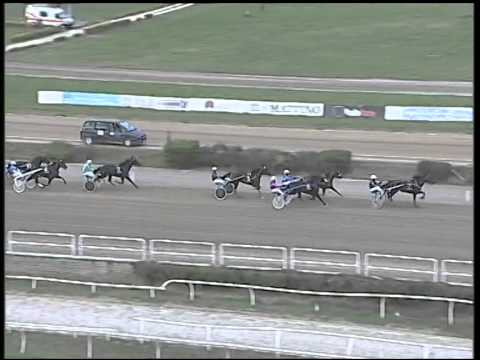 Trotto 26/10/2014 - 4° corsa