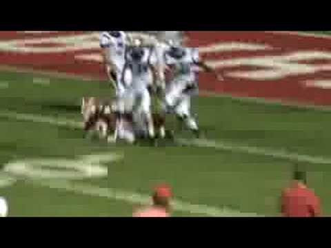 ricebirds-2008-08-29-044.mpg