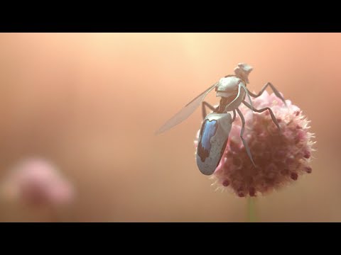 RoboBites