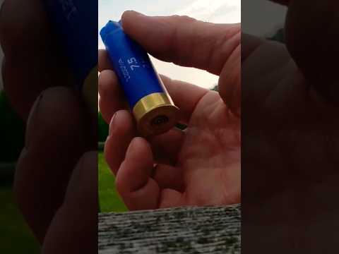 Rio 12 Gauge 00 buckshot #12gauge #shotgun #canadianfirearms #rioammunition #ammunition #buckshot