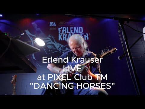 Erlend Krauser LIVE at the PIXEL Club TM 21.09.2024 "DANCING HORSES"