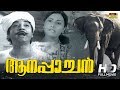 Aanappaachan Malayalam Full Movie Prem Nazir Sheela Sree Movies
