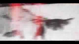 Ana Johnsson - Catch me if you can