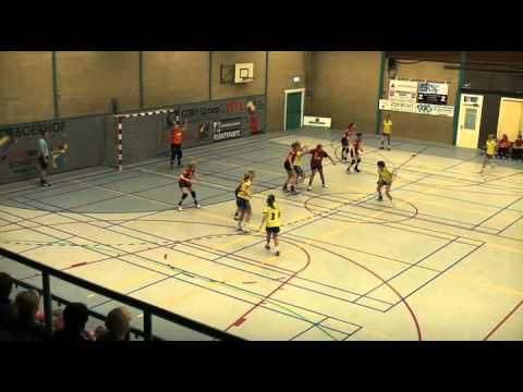 samenvatting Kwiek-Internos