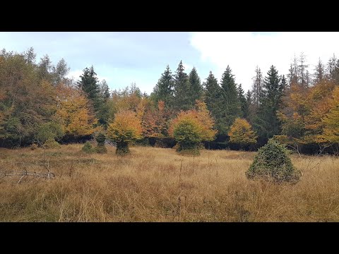 Heimbach Route - Peterskopf - Tannenriesch - Bathildishütte - Kleinern - Lange Version