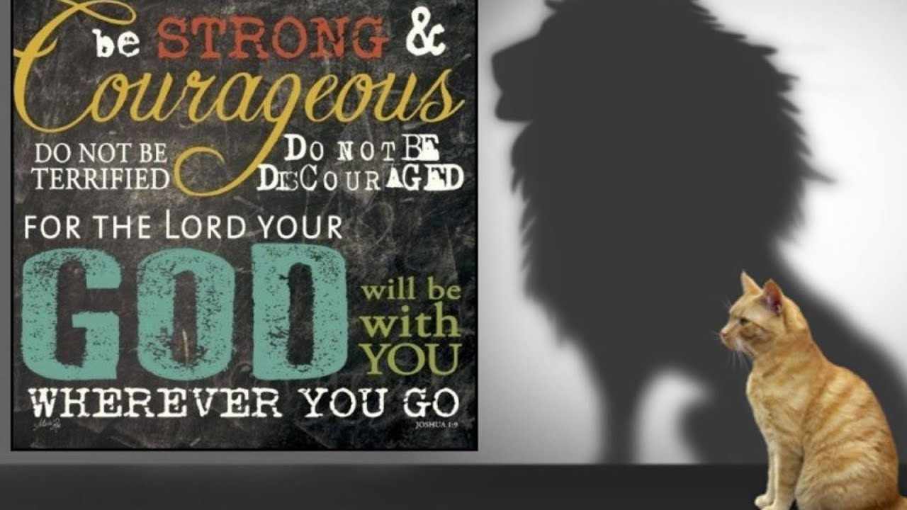 Bold in Obedience - January 11, 2026