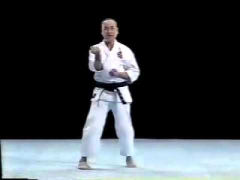 Sanchin Shito Ryu