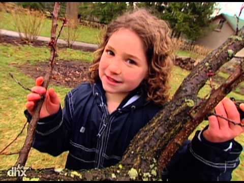 Zoboomafoo 102 - Eu Espião (Em Português)