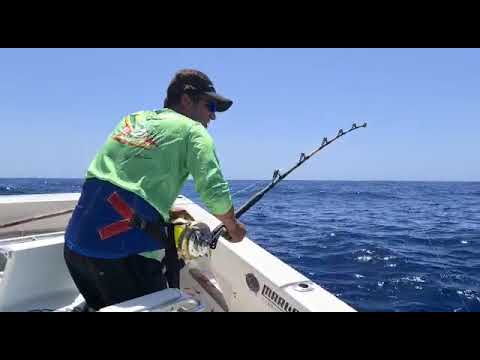 Kapitein Hafid heeft beet - Cavalier & Blue Marlin Sport Fishing Gran Canaria