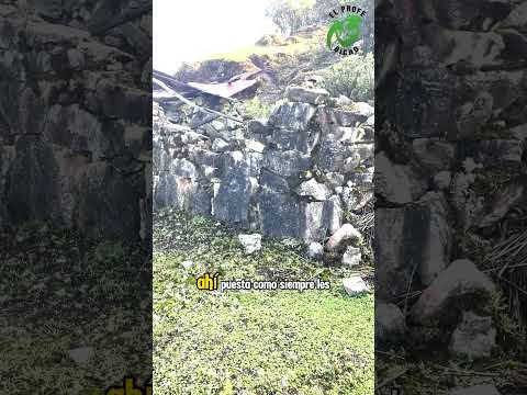 Cruzando el Páramo de Pisba.