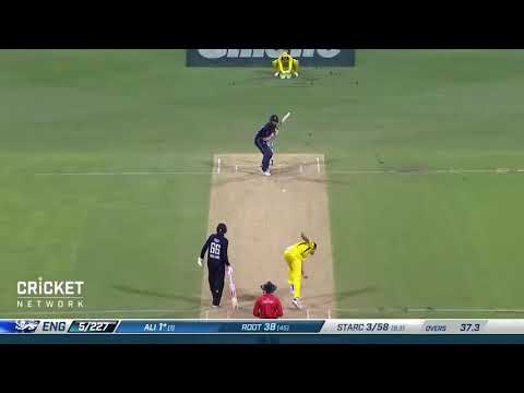 Best yorker by starc  wold class bowler