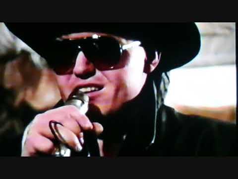 Dalas - DALAS - Divá Jane