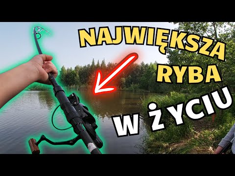 TO MIAŁA BYĆ ŻYCIÓWKA... ale WTEDY STAŁO SIĘ TO !