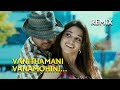 Vanithamani Vanamohini Remix