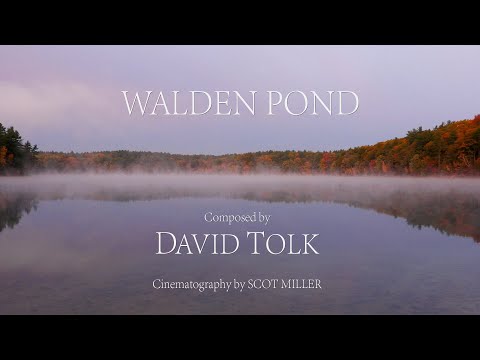 "Walden Pond", composed by David Tolk   HD 1080p