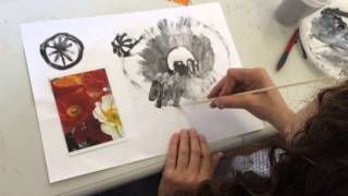 Understanding Poppy Stamens