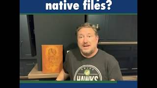 Who Owns Your Native Files?