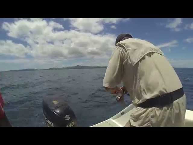 tropical fishing mitsio mars 2014 pompon en action