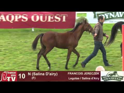 Show AQPS 2015 : lot 10 - N - F15 - Legolas & Salina d'Airy