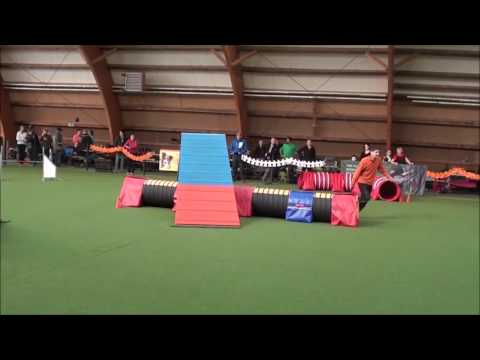 Halloween Turnier Saarburg 2016