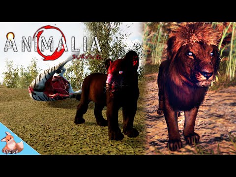 Life and Death of an Elder Lion in Animalia Survival pt2