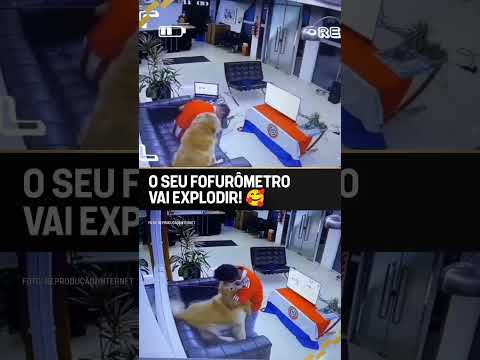 DEPOIS DIZEM POR AÍ QUE ELES NÃO ENTENDEM! 😪🐶 #shorts
