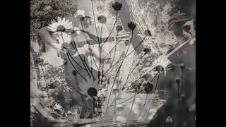 Alfred Ruci & Bledi Telha - Danza Balcanica