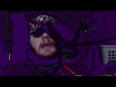 lil birds - the pantone show