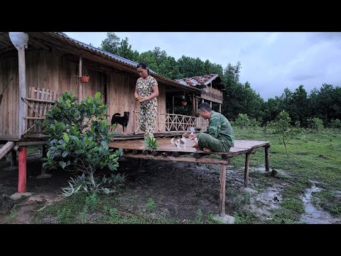 , title : 'Growing papaya, knitting bags, Ci was bitten by a snake, making grilled chicken with honey leaves...'