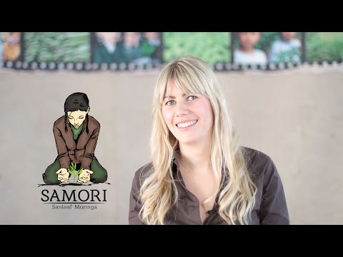 Moringa oleifera – was macht den Wunderbaum so einzigartig?