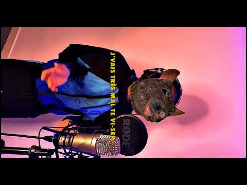 LE FREESTYLE DU RAT 😂😂 #edit #funny #meme #rap #freestyle #rat credit : genjutsu.beats