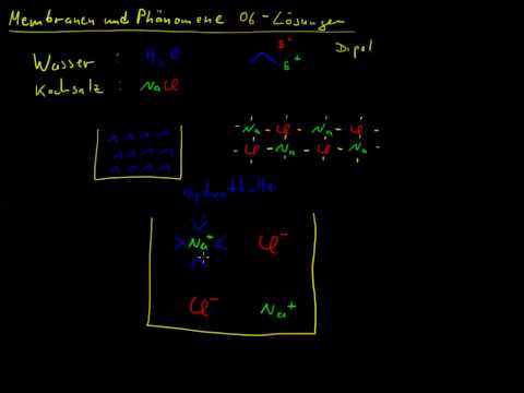 Membranen und Phänomene 06 - Lösungen