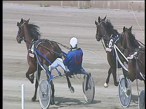 Trotto 26/05/2017 - 2ª corsa