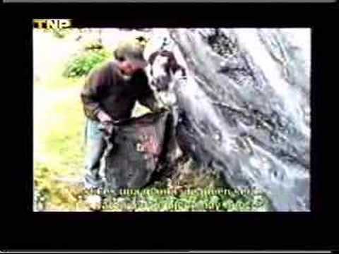 Chungui, trazos de memoria. Reportaje