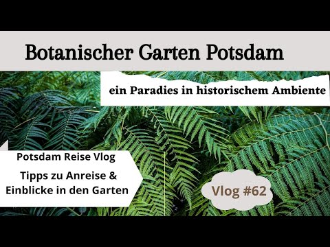 #62 Potsdam Botanical Garden | Day trip tip Brandenburg | Highlights | Tips | Costs | Getting there