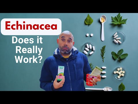 The Surprising Truth About Echinacea Nobody Tells You