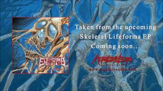 ECTOPLASMA - Slain Meat For The Beast [Promo Track]