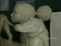 Animalia Tv Series