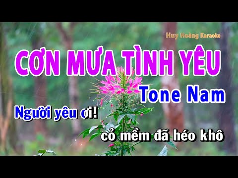 Cơn Mưa Tình Yêu Karaoke Tone Nam Bb | Huy Hoàng Karaoke